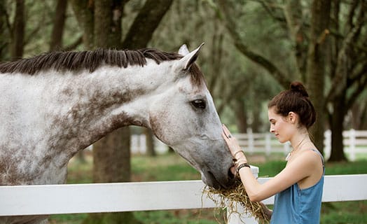 Teenager Feeding and Petting a horse | Upward bound Summer Camp