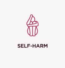 Providence Pass self harm icon