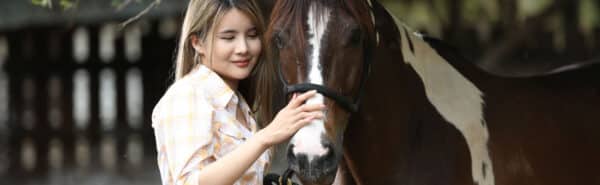 Equine Assisted Therapy for teens