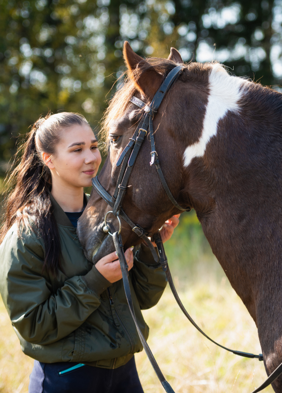 Teen Girl Equine Assisted Therapy